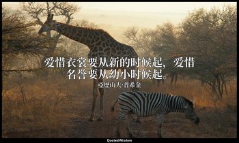 爱惜衣裳要从新的时候起，爱惜名誉要从幼小时候起。 — 亞歷山大·普希金