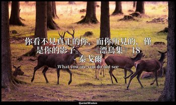 你看不見真正的你，而你所見的，僅是你的影子。－《漂鳥集》18- 泰戈爾 — What you are you do not see