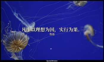 凡事以理想为因，实行为果。 — 鲁迅