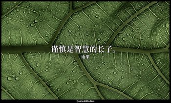 谨慎是智慧的长子。 — 雨果
