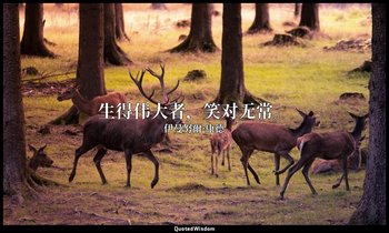 生得伟大者，笑对无常。 — 伊曼努爾·康德