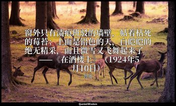 窗外只有渍痕班驳的墙壁，帖着枯死的莓苔；上面是铅色的天，白皑皑的绝无精采，而且微雪又飞舞起来了。 ——《在酒楼上》（1924年5月10日） — 魯迅