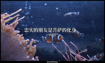 忠实的朋友是菩萨的化身。 — 拿破仑