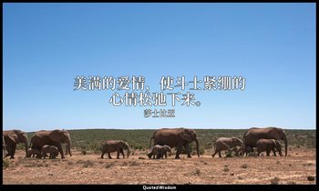 美满的爱情，使斗士紧绷的心情松弛下来。 — 莎士比亚