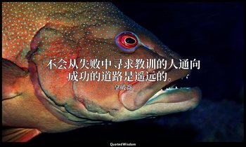 不会从失败中寻求教训的人通向成功的道路是遥远的。 — 拿破崙