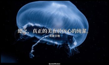 總之，真正的美在於內心的純潔。 — 圣雄甘地