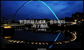 智慧的最大成就，也许要归功于激情。 — 沃韦纳戈