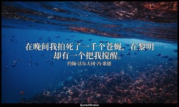 在晚间我拍死了一千个苍蝇，在黎明却有一个把我搅醒。 — 约翰·沃尔夫冈·冯·歌德