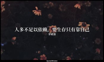 人多不足以依赖，要生存只有靠自己 — 拿破崙