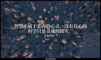 智慧不属于恶毒的心灵，没有良心的科学只是灵魂的毁灭。 — 拉伯雷