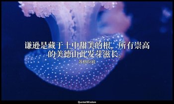 谦逊是藏于土中甜美的根，所有崇高的美德由此发芽滋长。 — 苏格拉底