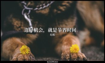 选择机会，就是节省时间。 — 培根