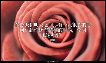 在今天和明天之间，有一段很长的时间；趁你还有精神的时候，学习迅速办事。 — 歌德