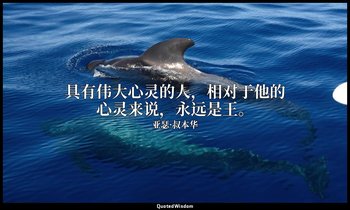具有伟大心灵的人，相对于他的心灵来说，永远是王。 — 亚瑟·叔本华