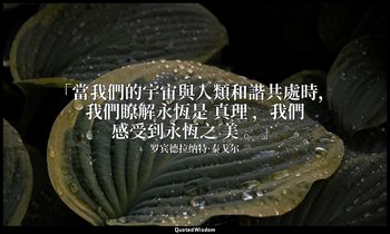 「當我們的宇宙與人類和諧共處時，我們瞭解永恆是 真理 ，我們感受到永恆之 美 。」 — 罗宾德拉纳特·泰戈尔