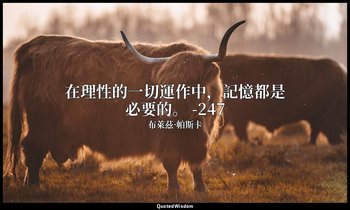 在理性的一切運作中，記憶都是必要的。 -247 — 布萊茲·帕斯卡