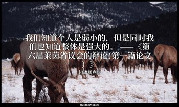 我们知道个人是弱小的，但是同时我们也知道整体是强大的。 ——《第六届莱茵省议会的辩论(第一篇论文）》 — 卡爾·馬克思