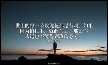 世上的每一朵玫瑰花都是有刺，如果因为怕扎手，就此舍之，那么你永远也不能得到玫瑰芬芳。 — 亚瑟·叔本华
