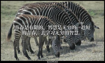 青春是有限的，智慧是无穷的，趁短的青春，去学习无穷的智慧。 — 高尔基