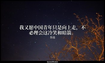 我又愿中国青年只是向上走，不必理会这冷笑和暗箭。 — 鲁迅