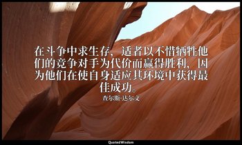 在斗争中求生存，适者以不惜牺牲他们的竞争对手为代价而赢得胜利，因为他们在使自身适应其环境中获得最佳成功。 — 查尔斯·达尔文