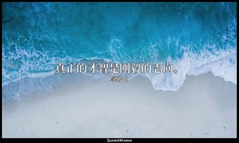 真正的才智是刚毅的志向。 — 拿破仑