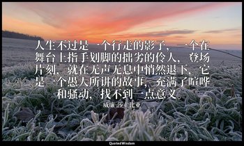 人生不过是一个行走的影子，一个在舞台上指手划脚的拙劣的伶人，登场片刻，就在无声无息中悄然退下，它是一个愚人所讲的故事，充满了喧哗和骚动，找不到一点意义。 — 威廉·莎士比亚