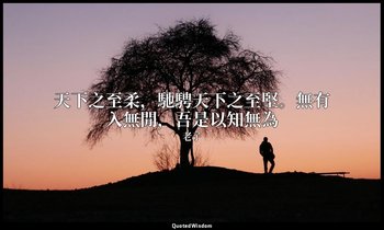 天下之至柔，馳騁天下之至堅。無有入無閒，吾是以知無為 — 老子