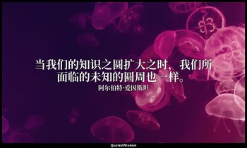 当我们的知识之圆扩大之时，我们所面临的未知的圆周也一样。 — 阿尔伯特·爱因斯坦