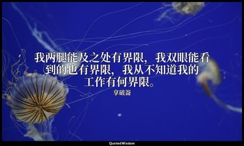 我两腿能及之处有界限，我双眼能看到的也有界限，我从不知道我的工作有何界限。 — 拿破崙