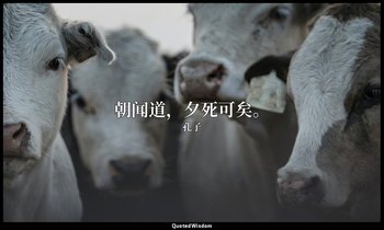 朝闻道，夕死可矣。 — 孔子