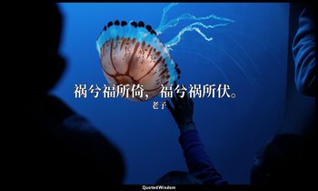 祸兮福所倚，福兮祸所伏。 — 老子