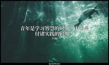 青年是学习智慧的时期，中年是付诸实践的时期。 — 卢梭