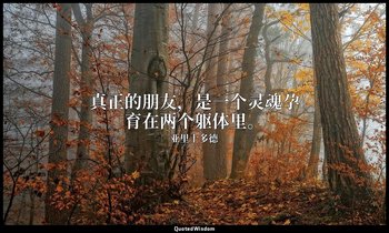真正的朋友，是一个灵魂孕育在两个躯体里。 — 亚里士多德