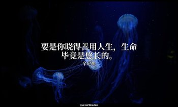 要是你晓得善用人生，生命毕竟是悠长的。 — 辛尼加