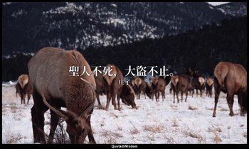 聖人不死，大盜不止。 — 庄子