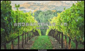 由智慧養成的習慣成為第二天性。 — 弗朗西斯·培根