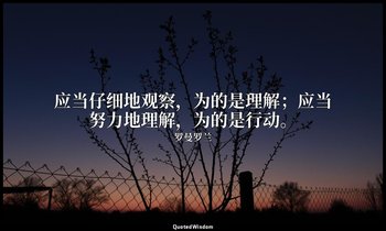 应当仔细地观察，为的是理解；应当努力地理解，为的是行动。 — 罗曼罗兰