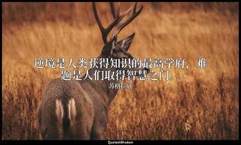 逆境是人类获得知识的最高学府，难题是人们取得智慧之门。 — 苏格拉底