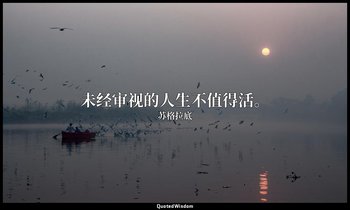 未经审视的人生不值得活。 — 苏格拉底