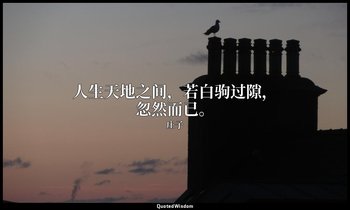人生天地之间，若白驹过隙，忽然而已。 — 庄子