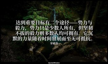达到重要目标有二个途径——势力与毅力，势力只是少数人所有，但坚韧不拔的毅力则多数人均可拥有。它沉默的力量随着时间發展而至无可抵抗。 — 拿破崙