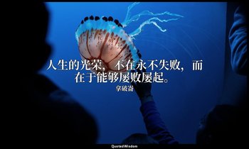 人生的光荣，不在永不失败，而在于能够屡败屡起。 — 拿破崙