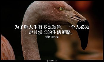 为了解人生有多么短暂，一个人必须走过漫长的生活道路。 — 亚瑟·叔本华