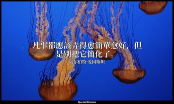 凡事都應該弄得愈簡單愈好，但是別把它簡化了。 — 阿尔伯特·爱因斯坦