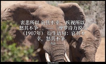 衷悲所以 哀其不幸 ，疾视所以 怒其不争 。 ——《摩罗诗力说》（1907年） 衍生语句：哀其不幸，怒其不争。 — 魯迅