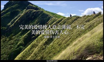 完美的爱情使人意志薄弱，不完美的爱情伤害人心。 — 威廉·莎士比亚