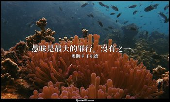 愚昧是最大的罪行，沒有之一。 — 奥斯卡·王尔德