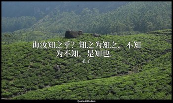 诲汝知之乎？知之为知之，不知为不知，是知也。 — 孔子
