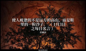 使人疲惫的不是远方的高山，而是鞋里的一粒沙子。 （ 1月3日之每日名言 ） — 伏爾泰
